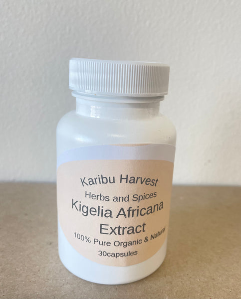 Kigelia Africana extract Powder Capsules Balam Kheera Powder 100% Pure African Sausage Fruit.